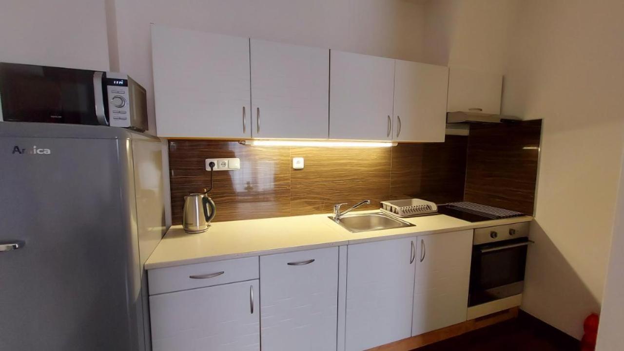Apartment Moser 1303 كارلوفي فاري المظهر الخارجي الصورة